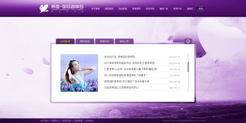 2013年网页设计年度精选 高清时代的制作艺术